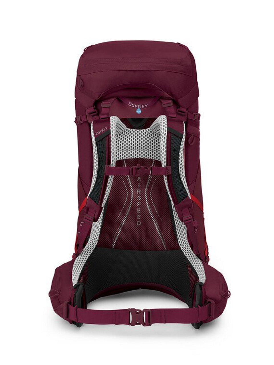 Osprey Women's Aura AG LT 65 M/L Backpack - Antidote Purple - Image 4